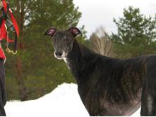 12640418 996846533715103 1595874692368789463 o.jpg