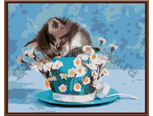 8683 ������� �� ������ ���� 520 ���.jpg