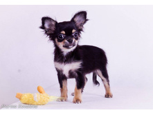 12419083 979173412149082 5024951452198443310 o.jpg