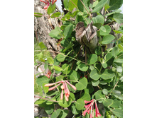 ��������� ������