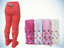 �������: 2024