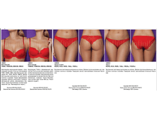 Apollo �������.png