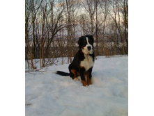 IMG 20160330 180549.jpg