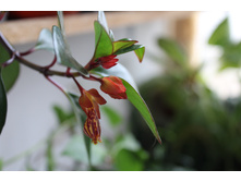 ���������� "���������"