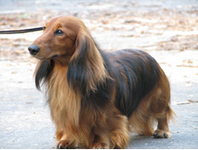 11884970 925716157494808 8805213448772342384 o.jpg