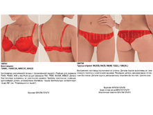 Moon �������.png