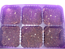 ��������� 6 ������