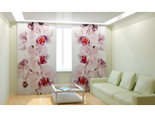 ��������� ������� �����.jpg