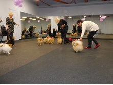 DSCN4609.JPG