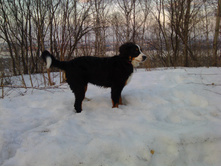 IMG 20160330 180546.jpg