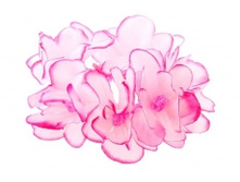 1730. �����. �������. ������ 6 ��. 24 ���.jpg