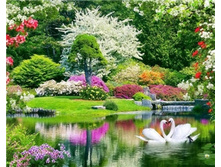 500x500.19245 40�50.jpg