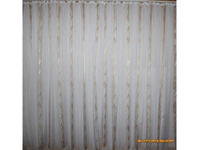 ���� ����