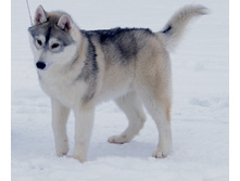 �������� (3).jpg