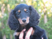 11143665 912697945463296 5016976690028611415 n.jpg