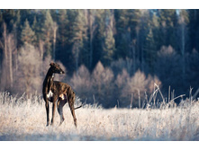 1959866 827329627333462 3411556954029680561 n.jpg