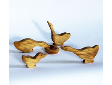 ����� ����� ������������