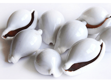 ������� ������ ����� ���� ��.,�������:8889, 48�