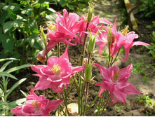 ��������� ����� �������