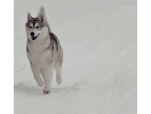 �������� (2).jpg