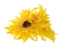 9255. �����. ����. ������ 10 ��. 29 ���.jpg