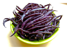 ������ ���������� (��) 8,50 ���. [���.9000646]