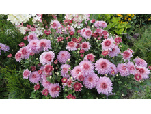 ���������� ������