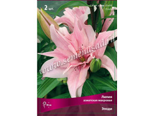 ����� �����.jpg