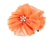 7130. ����. �������, ������. 10 ��. 29 ���.jpg