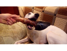 P 20160303 192033.jpg