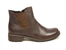 ������� ���������� STELLA - 2950 ���