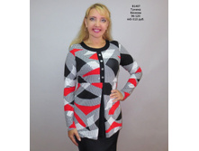 �1407 � �������