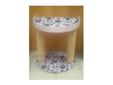 �� 790 ��� ���������� 55�� ������� ���������� � �����