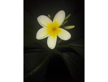 IMG 20151001 221156.jpg