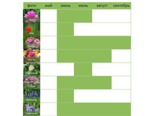 ��������� �������� �������������-3.jpg