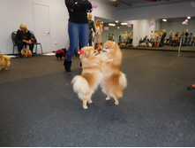 DSCN4591.JPG