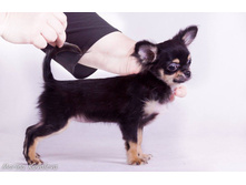 12419373 979173378815752 5298590417881027991 o.jpg