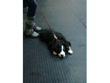 IMG 20160228 163720.jpg