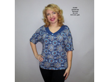 �1685 ������