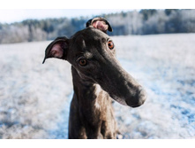 10978643 827329710666787 8846282605103596170 n.jpg