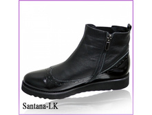 Santana-LK_������ (���: �141/1018LK) ���� 2870+%