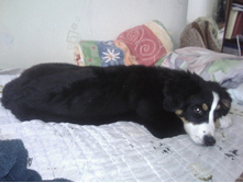 IMG 20160306 112732.jpg