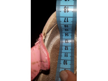 �����, 14,5��, ������ ���� ���������, 200�