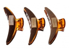 9788. ����. �������. 12 ��. 7 ��. 279 ���.jpg