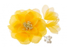 9100. �����. �����-�����. ������ 10 ��. 34 ���.jpg