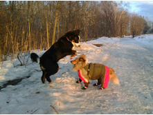 IMG 20160330 175106.jpg