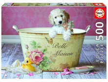 16736 ���� 500 ������� ���� �����, ���� �����.jpg