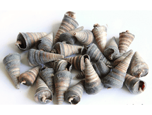 ������� ����������� ��., �������:8893, 48�