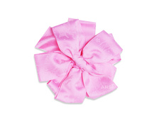 ����� � �������� � ������������� ARSI �������