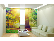 ��������� ��������� ������.jpg